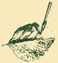 Zahler Logo