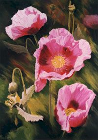 'Poppies' 18" x 14" - Greeting Card